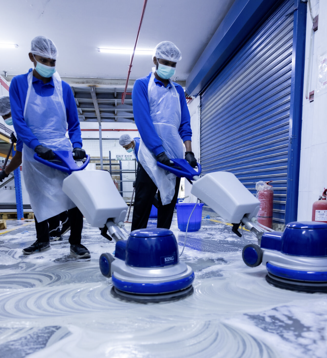 مكافحة الحشرات والقوارض